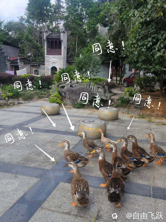 7c69dd1f-3444-42e9-faef-b788d186bd0e.jpg