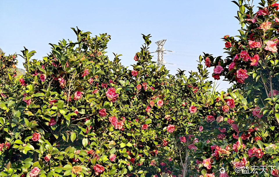 IMG_20261026_154854.jpg