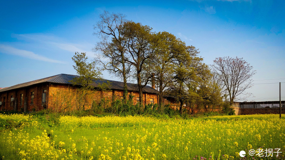 213755kv78p55kopgu5kiu A.jpg