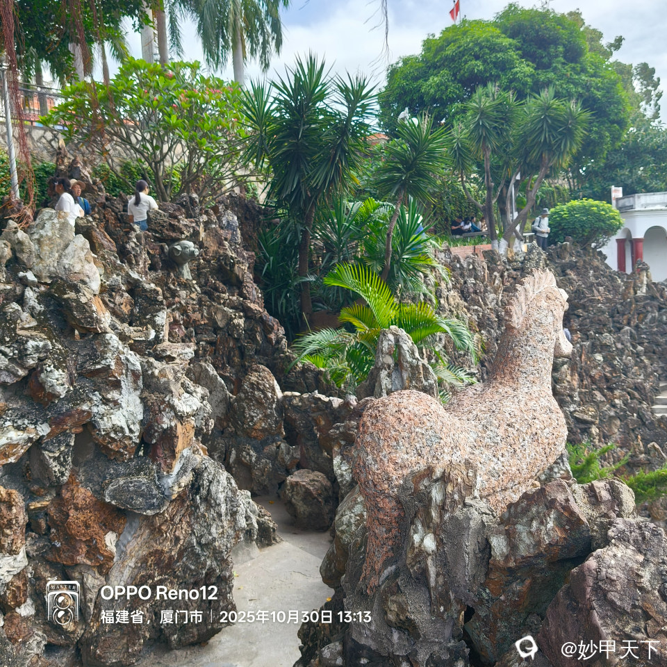 十二生肖中的鸡