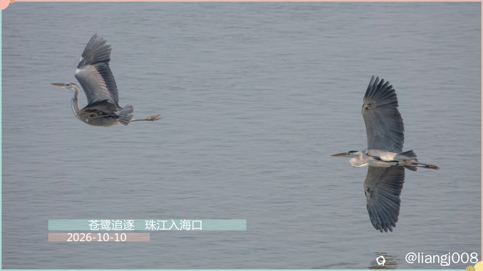 DSC018161_副本_副本.jpg