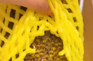 你永远可以相信广西人的淳朴热情！吉林博主与广西网友互换特产收到满满4大箱！老表：都是好东西，本地人都舍不得买