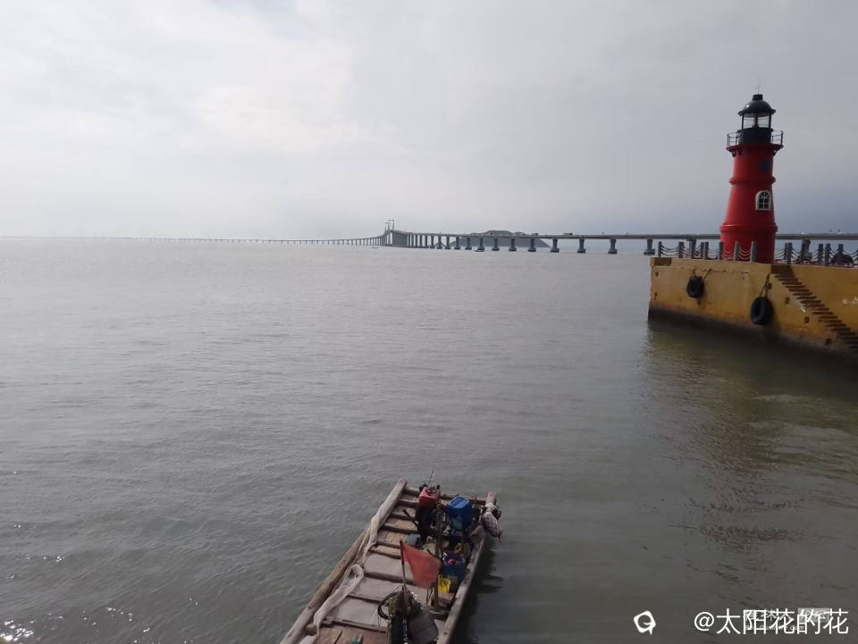 Image_1728107375514.jpg