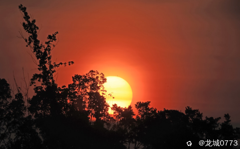 BG9I4749.JPG
