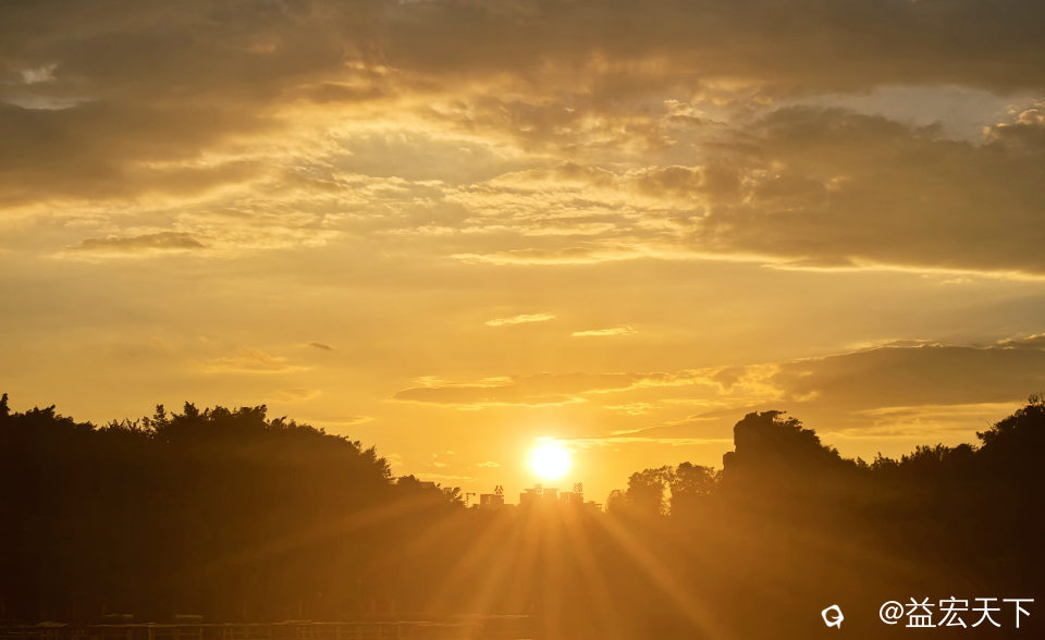 IMG_20260810_185558.jpg