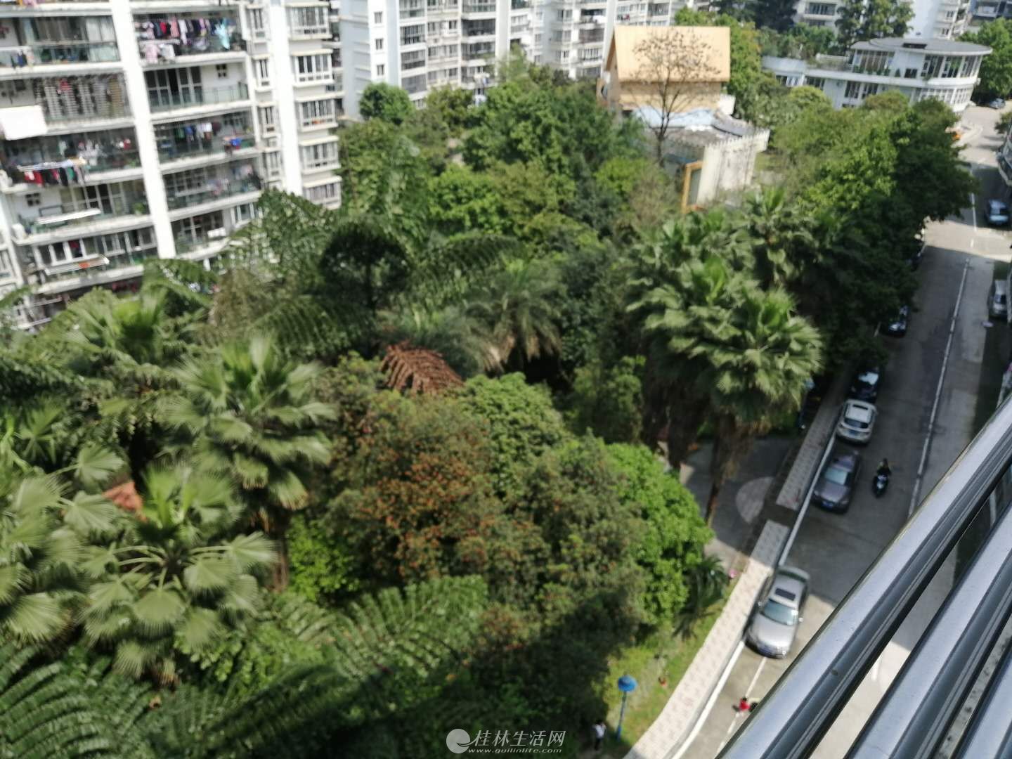 L�����³� Ӣ��Сѧ ����¥ ����5.2�Ĵ����� 145ƽ ˦��105��