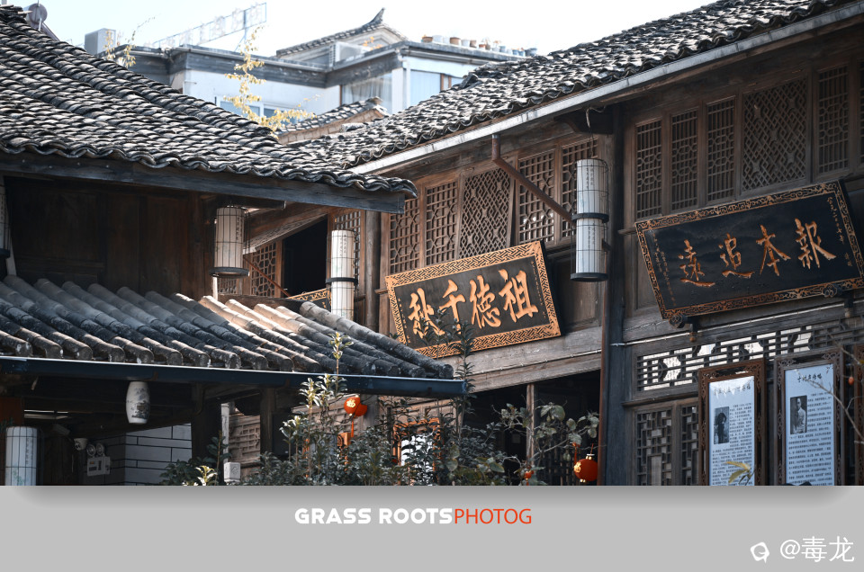 _DSC6989_副本.jpg