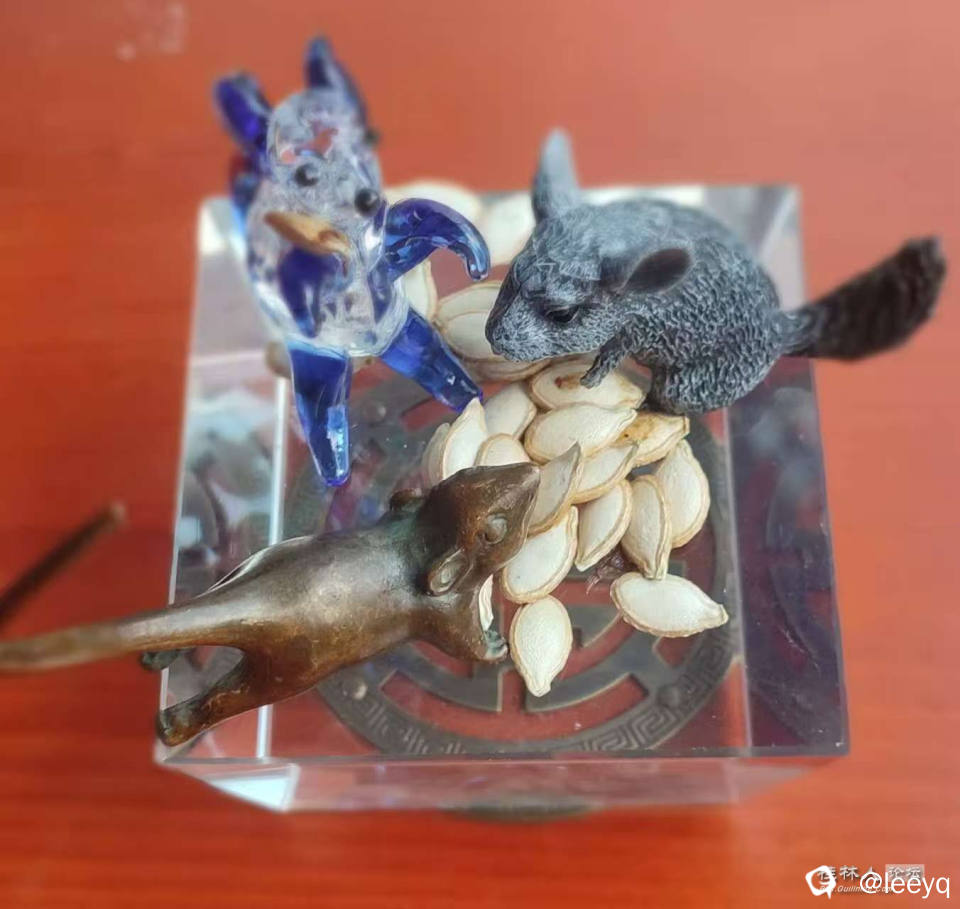 微信图片_20250918161505_12_2.jpg