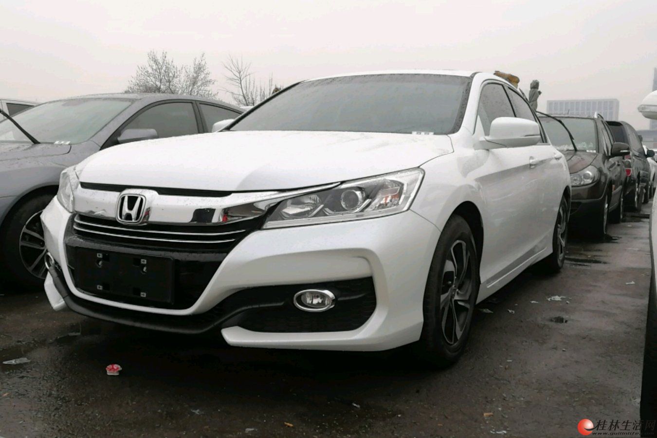 ���� �Ÿ� 2016�� 2.0 �Զ� ������