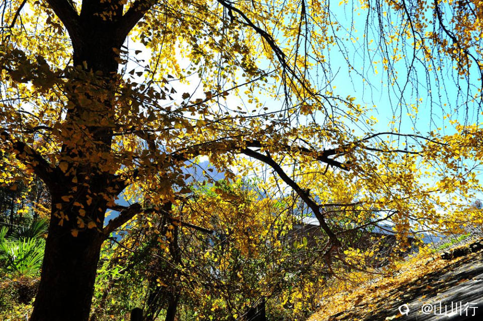 DSC_3865_1.jpg