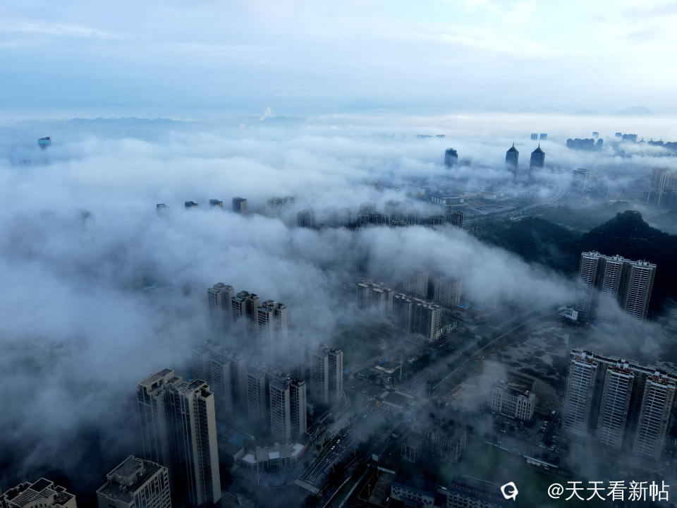 DJI_0463_副本.jpg