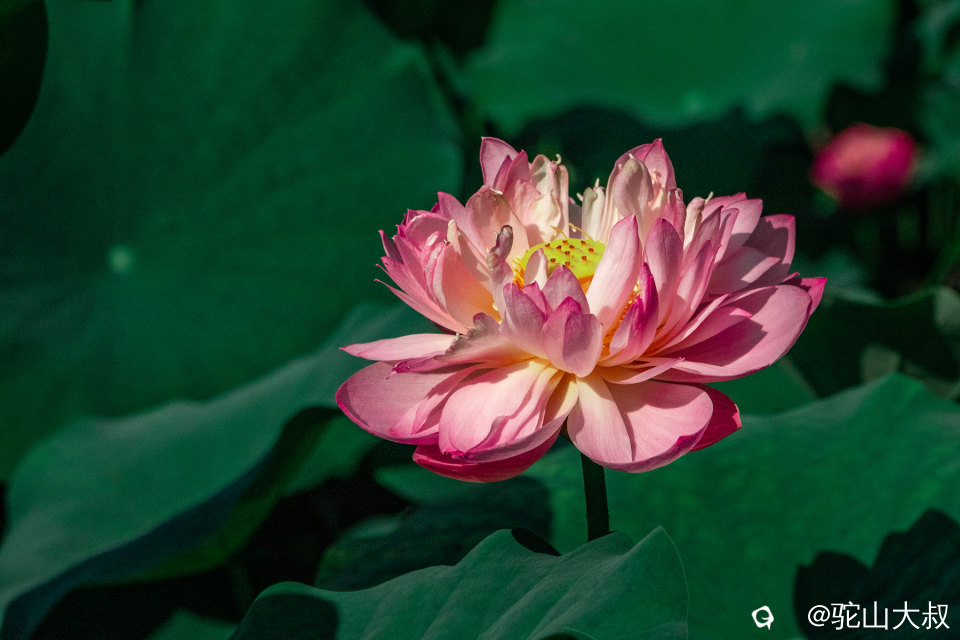DSC04331-0 - 副本.jpg