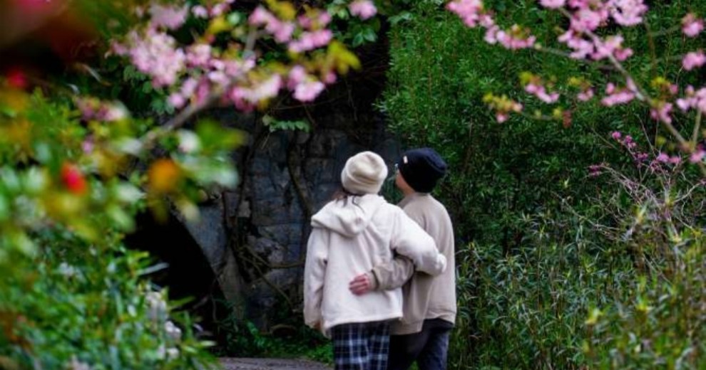 三月南溪山樱花盛开，春暖大地！