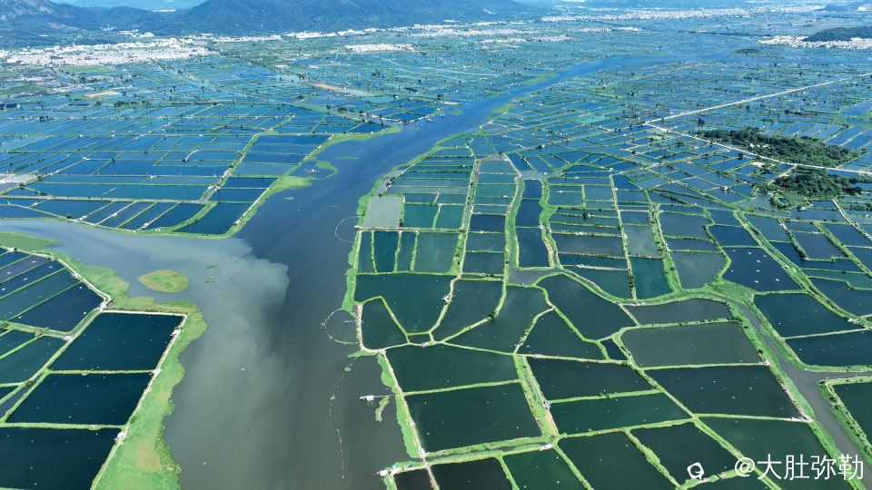 DJI_0212.jpg