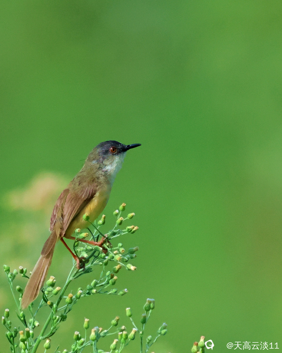 5D2A7561.JPG
