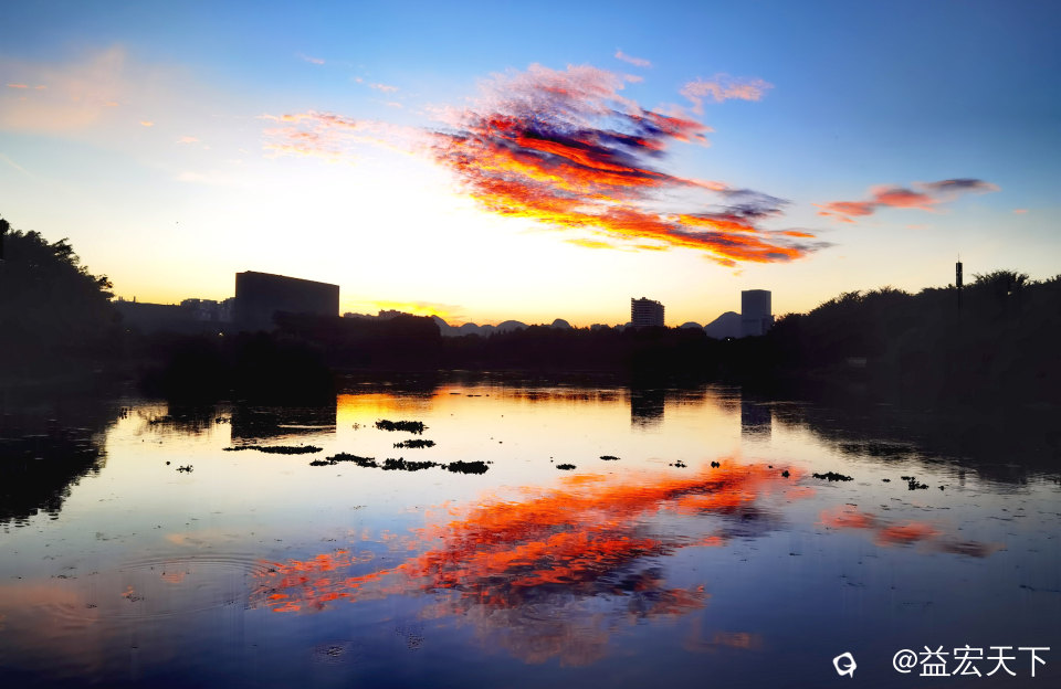 鱼跃水天