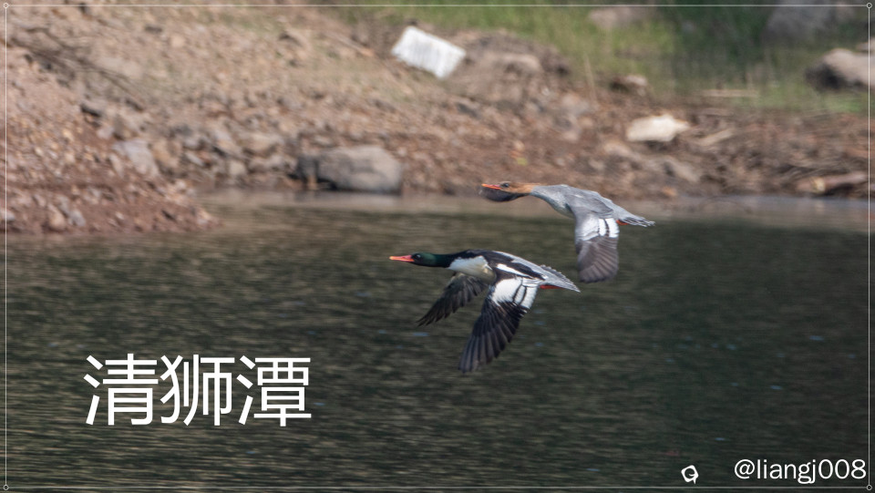 DSC01615_副本.jpg