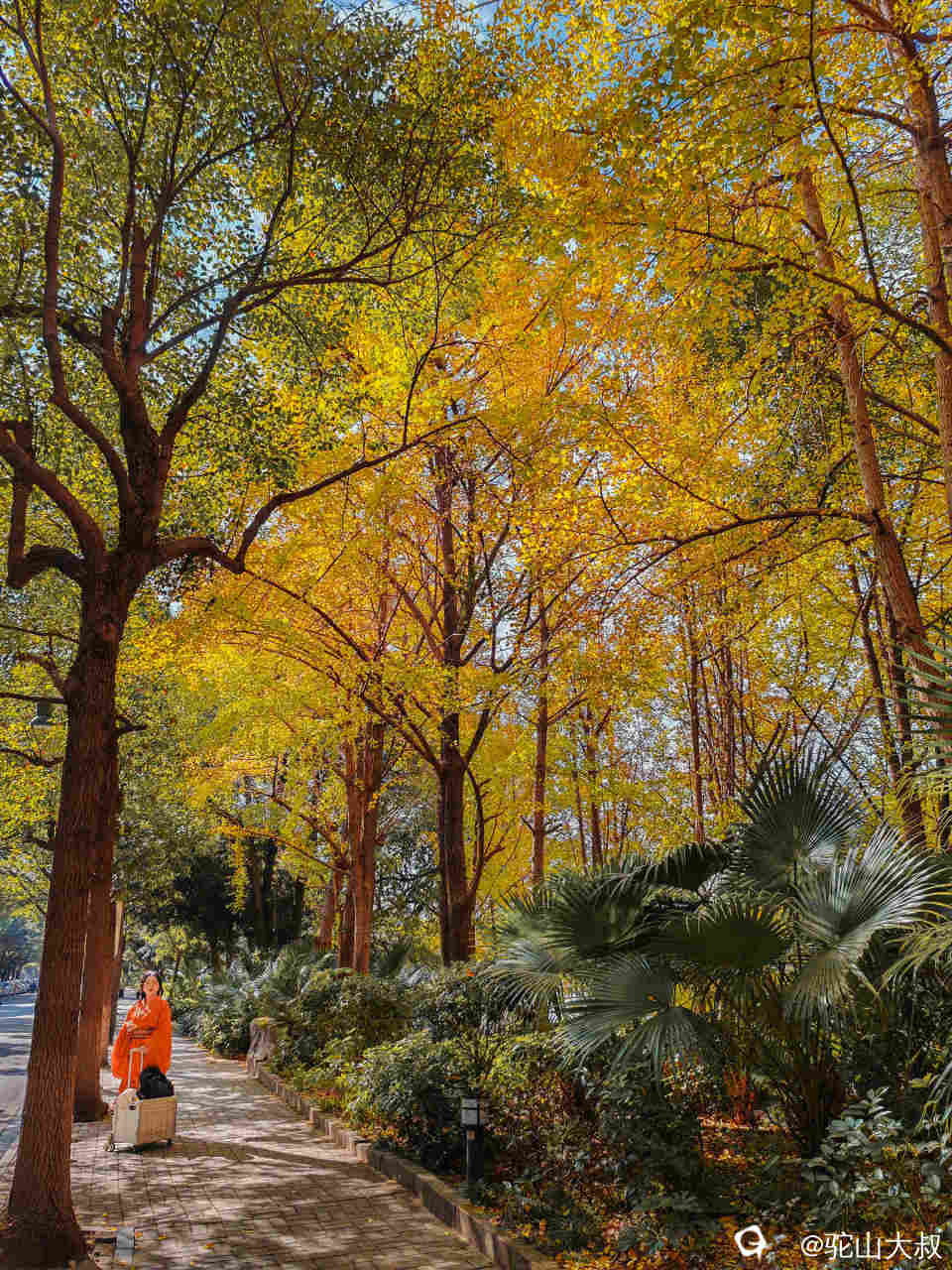 IMG_134152 - 副本.jpg