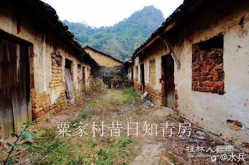 DSC09111_副本.jpg