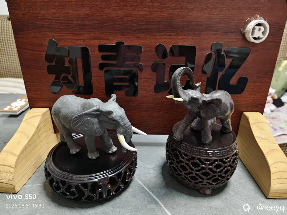 微信图片_20260831174033_401_117.jpg