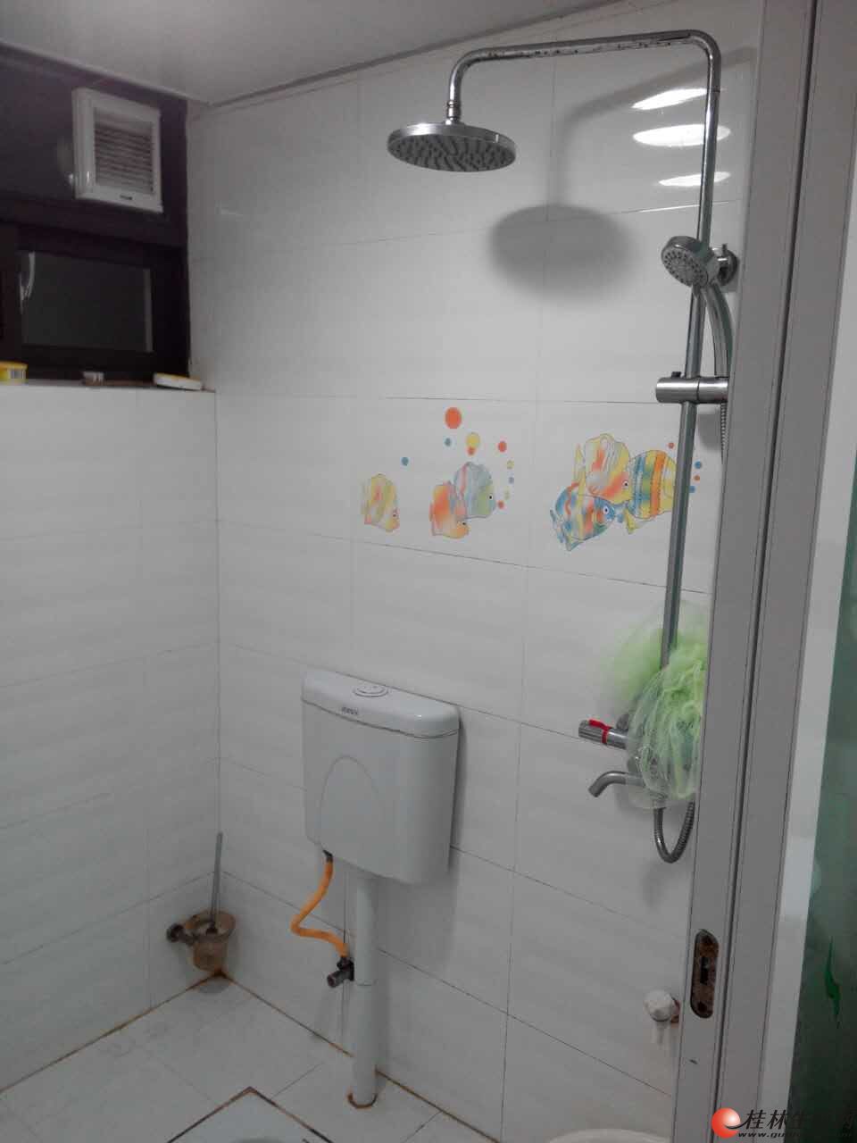 �����������̩ˮ��۪��������װ���ú�۸��˵