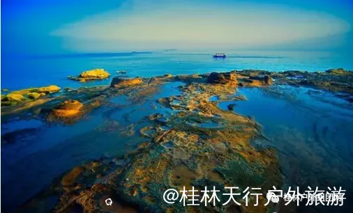 640.webp (2).png
