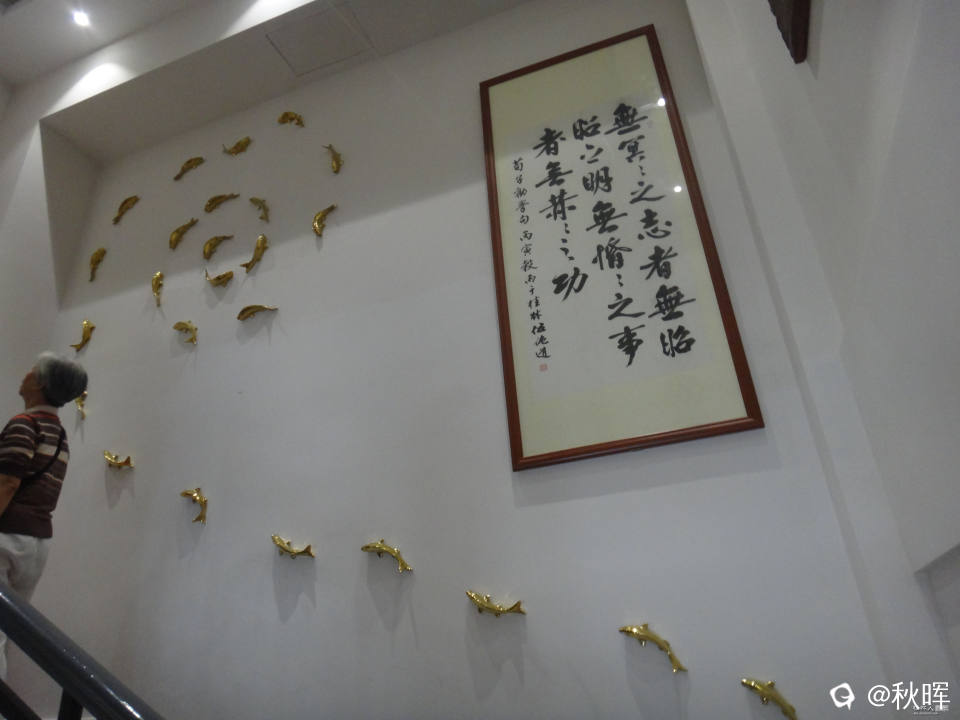 DSC08571.JPG