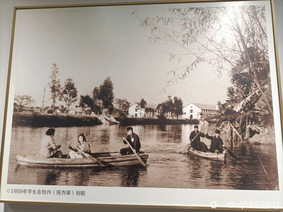 50年代学生在校园湖中划船