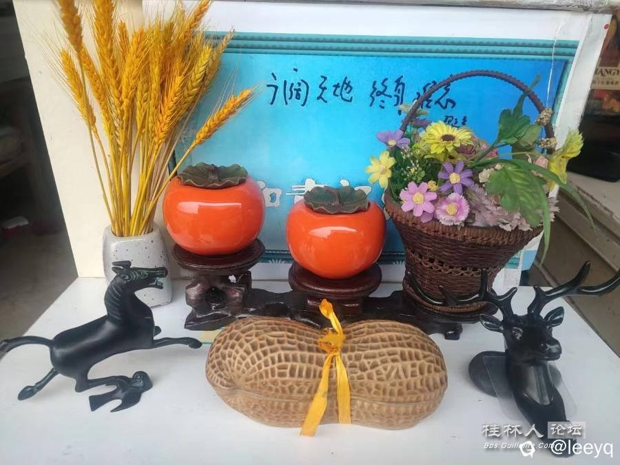 mb_260792145_20241014093949409 (1).jpg