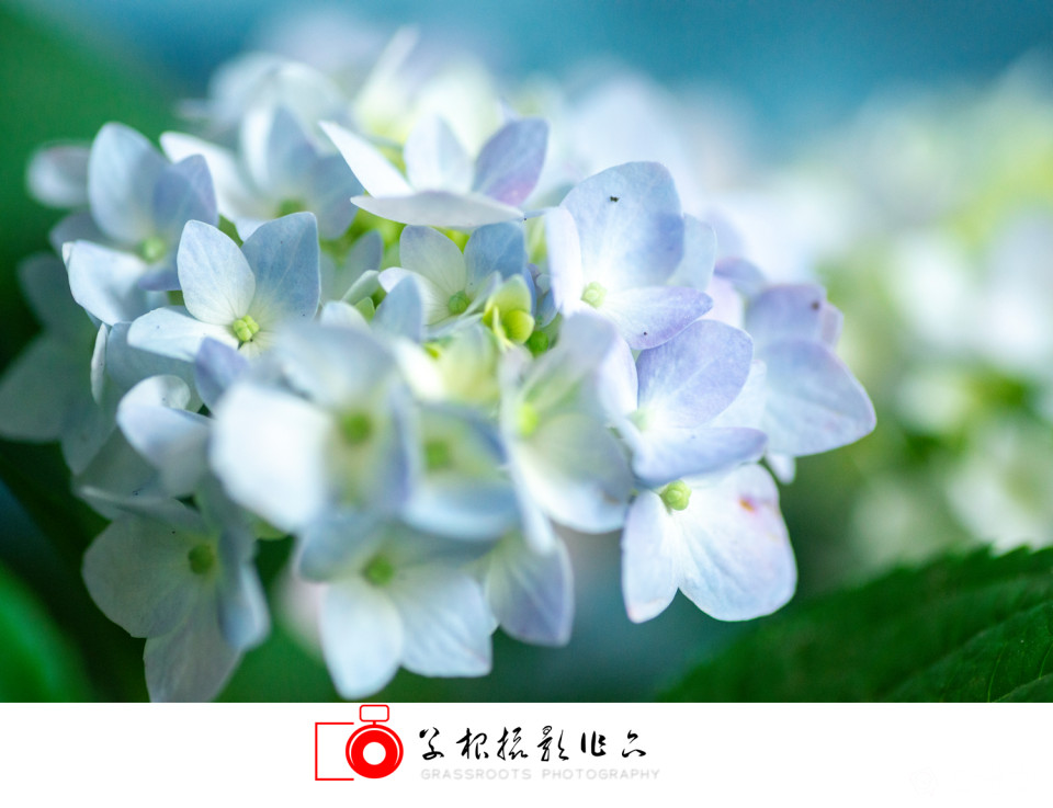 _DSC7798 拷贝_副本.jpg