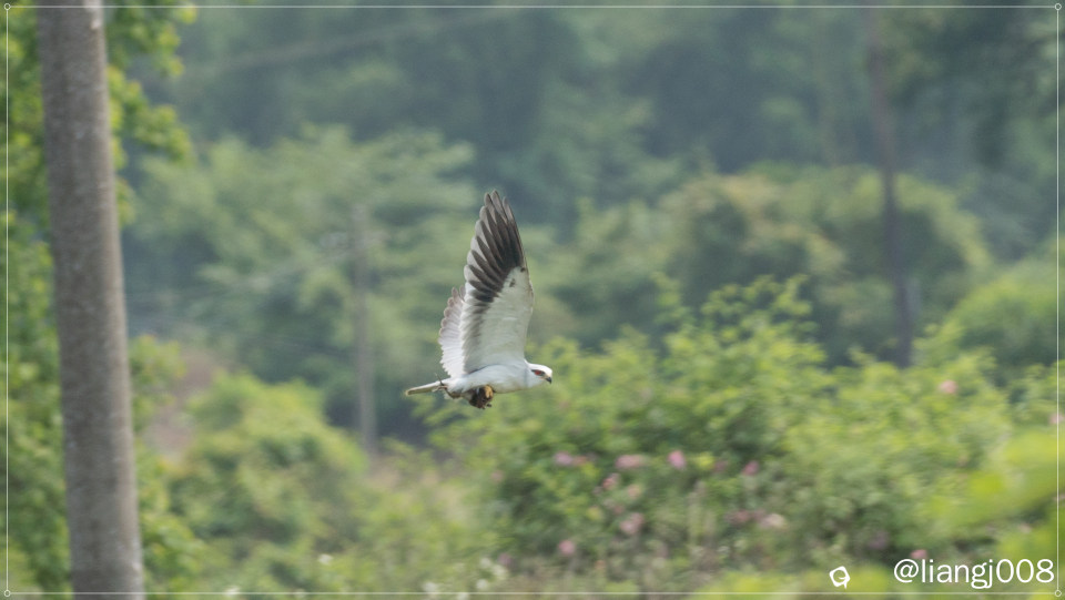 DSC07273_副本 (2).jpg