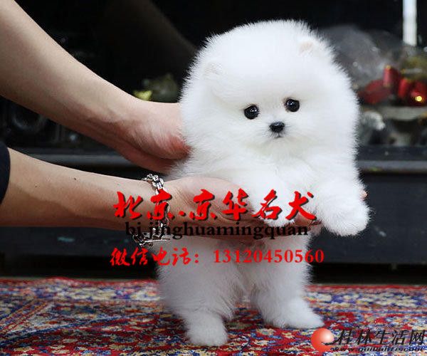 ���۲��� �豭���� ���ֹ���������