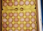 ʤ