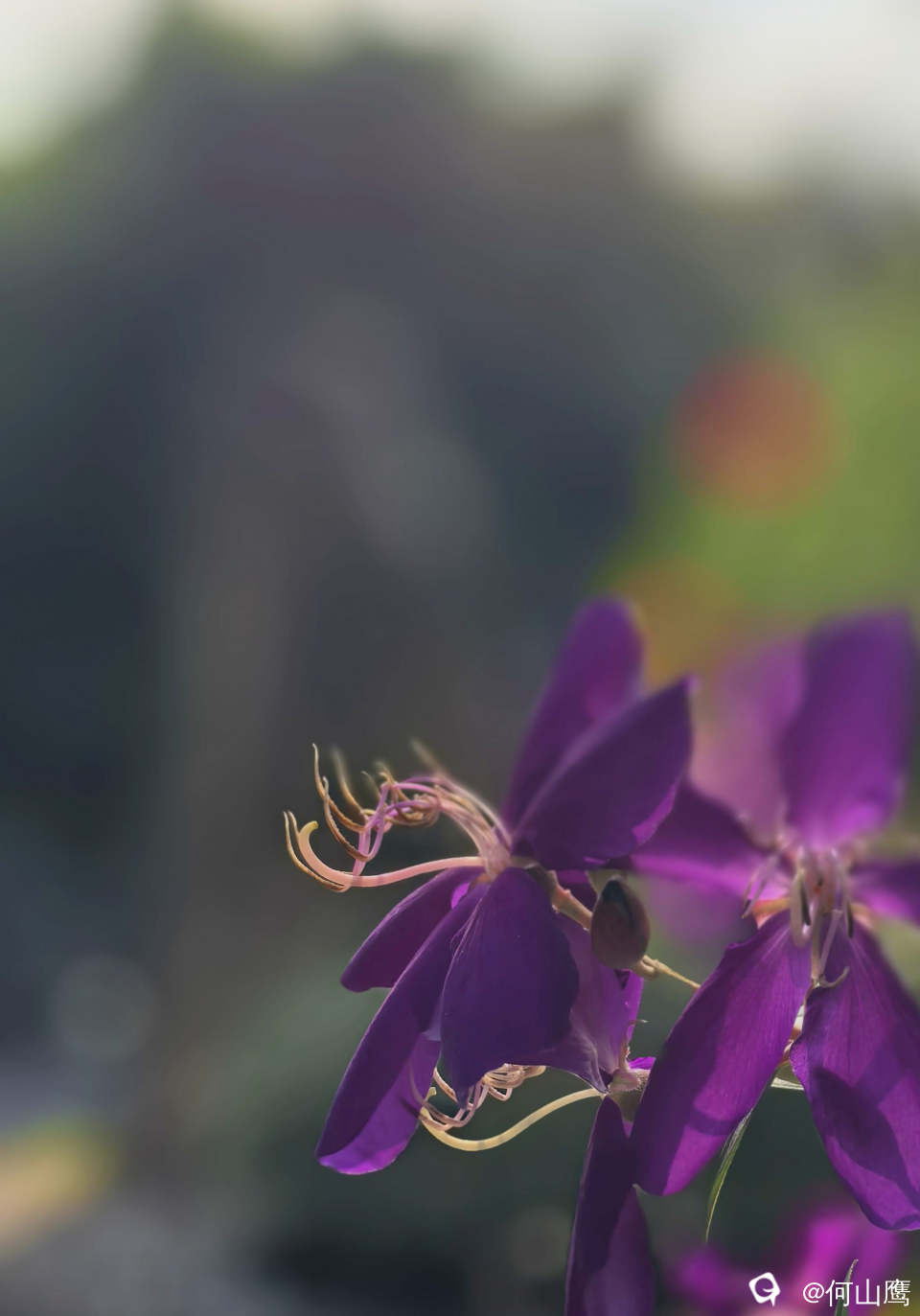 cc1ce632-5dde-816f-81c6-300f07e09985.jpg