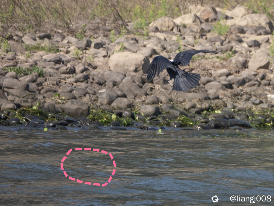 DSC08614_副本.jpg