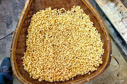 友家帮制豆腐：卤点云腴凝，箱压雪缕皴