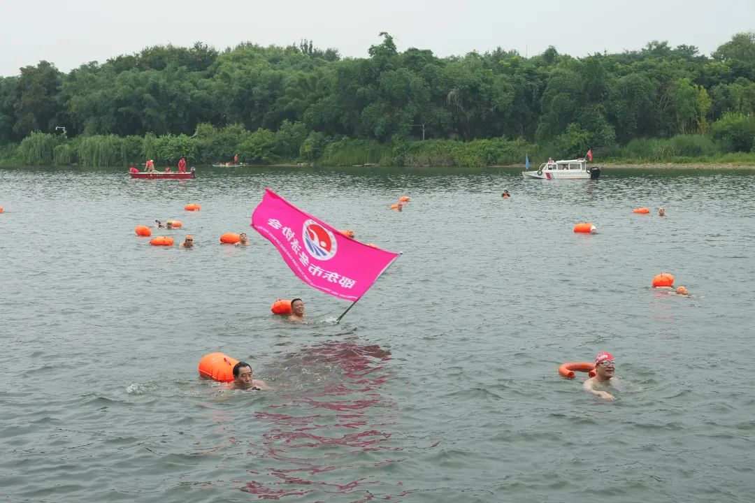 全国各地800多名游泳爱好者畅游漓江