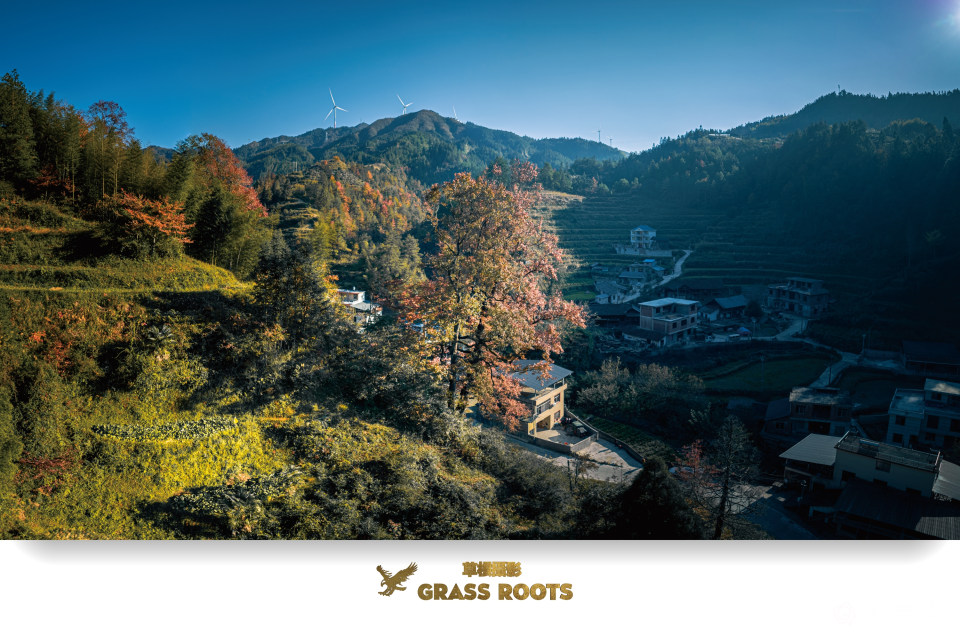 DJI_0524-HDR 全景图_副本.jpg