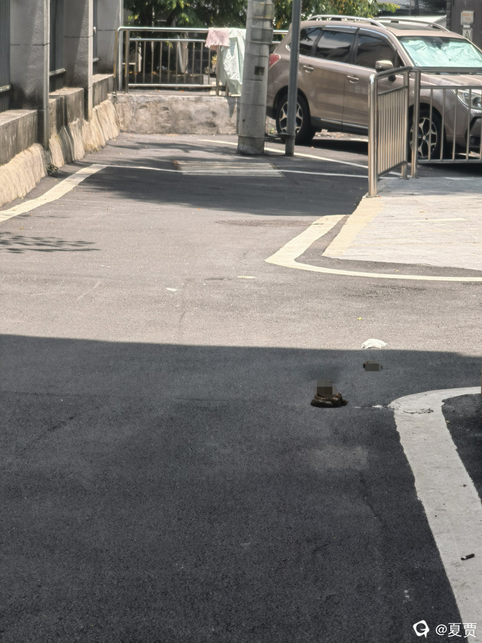 翊武路北巷院围栏后