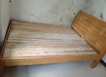 ���ֱ����մ�������ɳ���������¹񣬻��ղ���