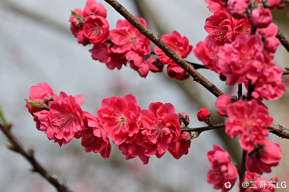 EGD_9169_副本.jpg